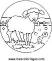 coloriage mouton 28