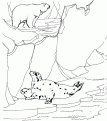 coloriage les animaux du zoo 19