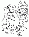 coloriage faon 03