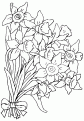 coloriage jonquille 06