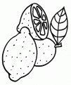 coloriage citron 19