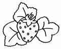 coloriage fraise 11