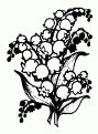 coloriage muguet 10