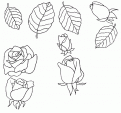 coloriage rose 13