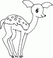 coloriage faon 05