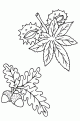 coloriage de l automne 05