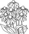 coloriage fleur 04