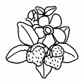 coloriage fraise 06