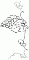 coloriage raisin 13