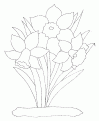 coloriage jonquille 12