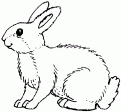 coloriage lapin 05