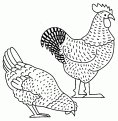 coloriage coq 06