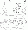 coloriage les animaux du zoo 26