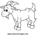 coloriage mouton 21