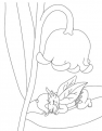 dessin-fete-du-Muguet-1er-Mai