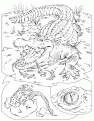 crocodile