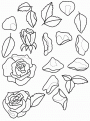 coloriage rose 06