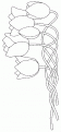 coloriage tulipe 17