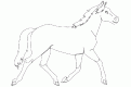 coloriage cheval 17
