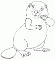 coloriage castor 11