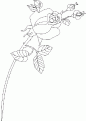 coloriage rose 04