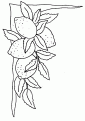 coloriage citron 10
