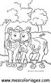coloriage mouton 39