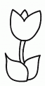 coloriage tulipe 02