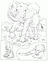 elephant