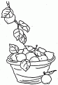 coloriage citron 11