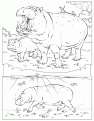 hippos