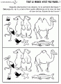Apprendre tout avec les aminaux 047