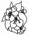 coloriage cerise 05