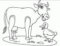 coloriage vache 13