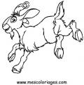 coloriage mouton 37