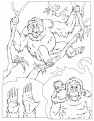 orangutan