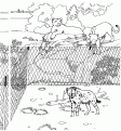 coloriage les animaux du zoo 23