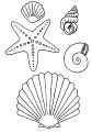 coloriage coquillage 08