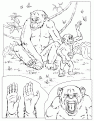 chimps