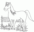 coloriage cheval 81