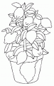 coloriage citron 06