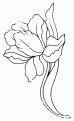 coloriage tulipe 10