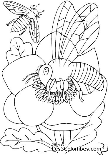 coloriage abeille sur fleur 41