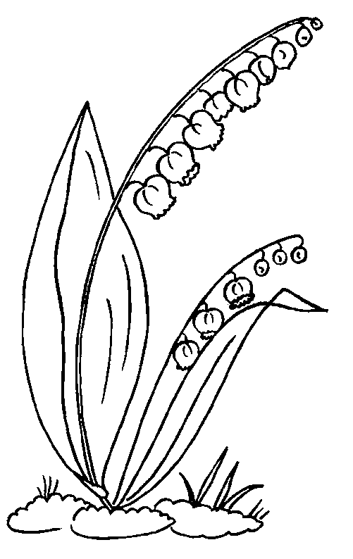 coloriage muguet 01