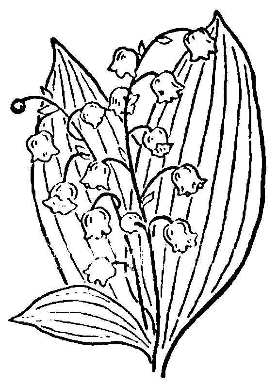 coloriage muguet 07