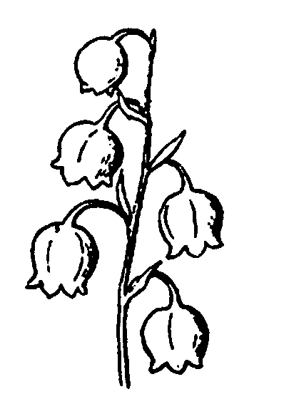 coloriage muguet 11
