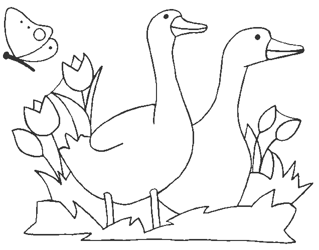 coloriage oie 01