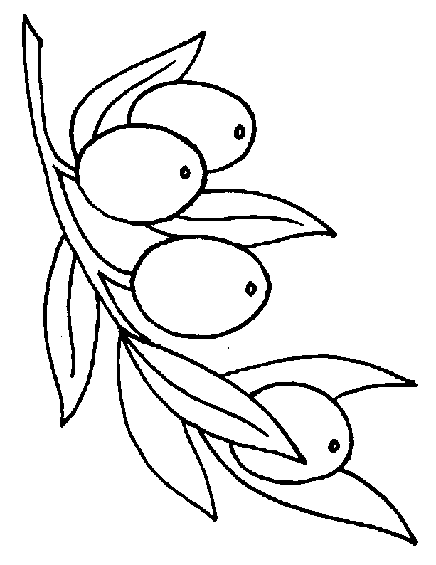 coloriage olive 02  Coloriage en ligne gratuit pour enfant