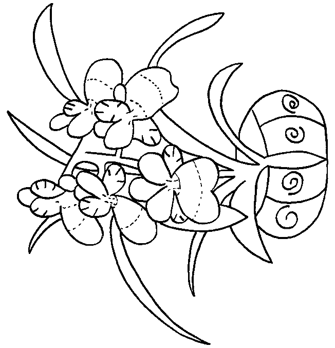 coloriage orchidee 08