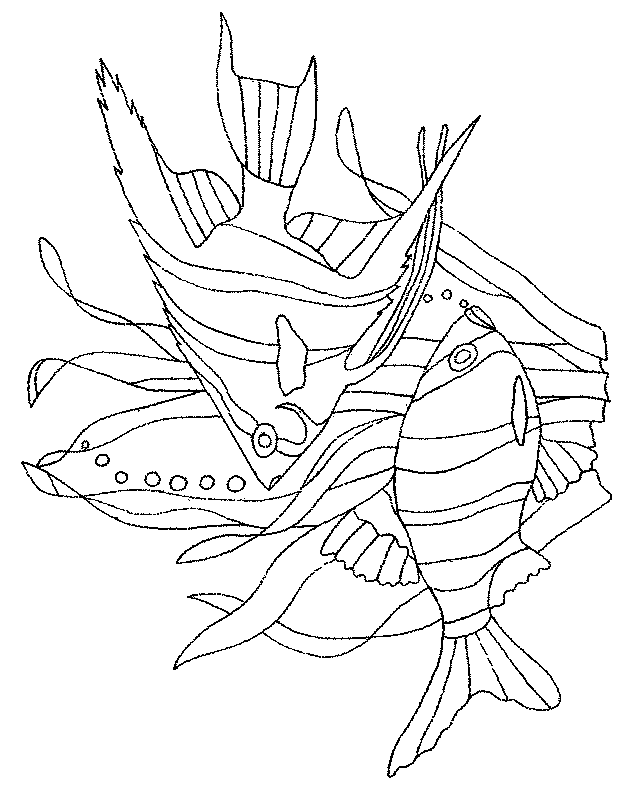 coloriage algue 02